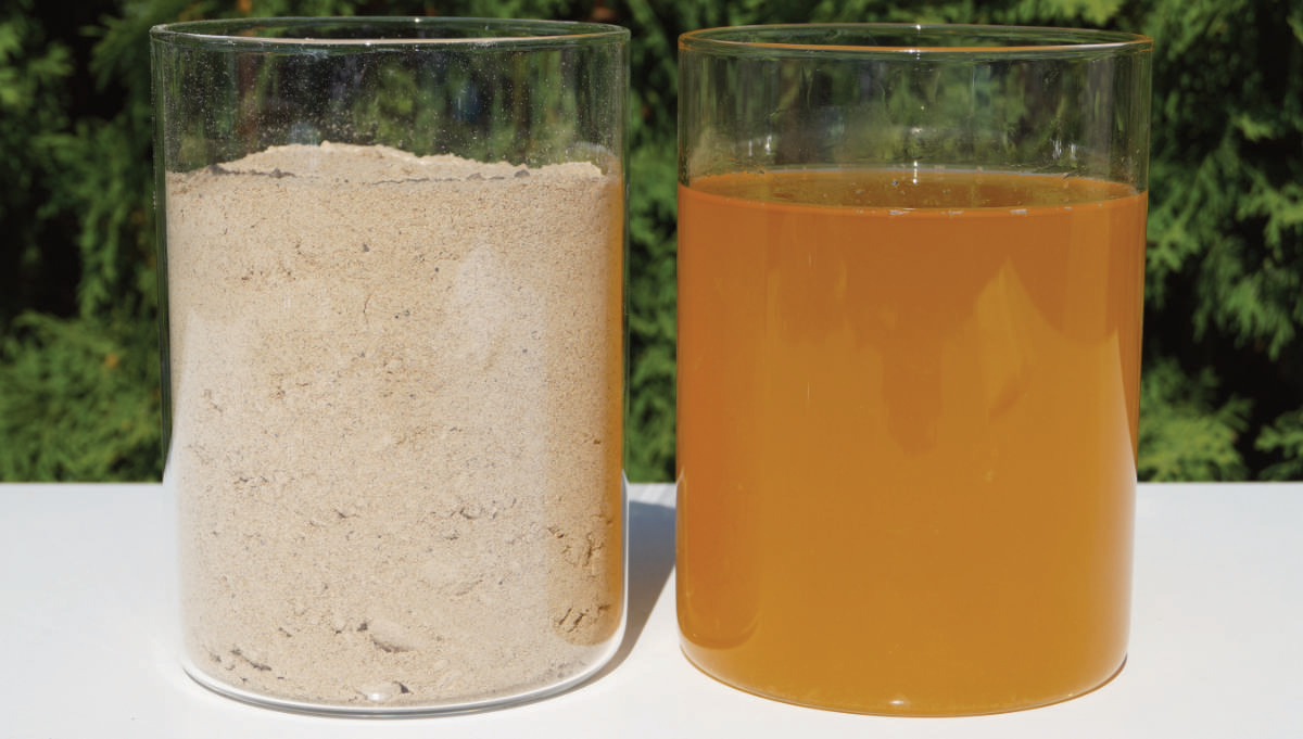 Cricket and other insect protein and fat extraction after farming