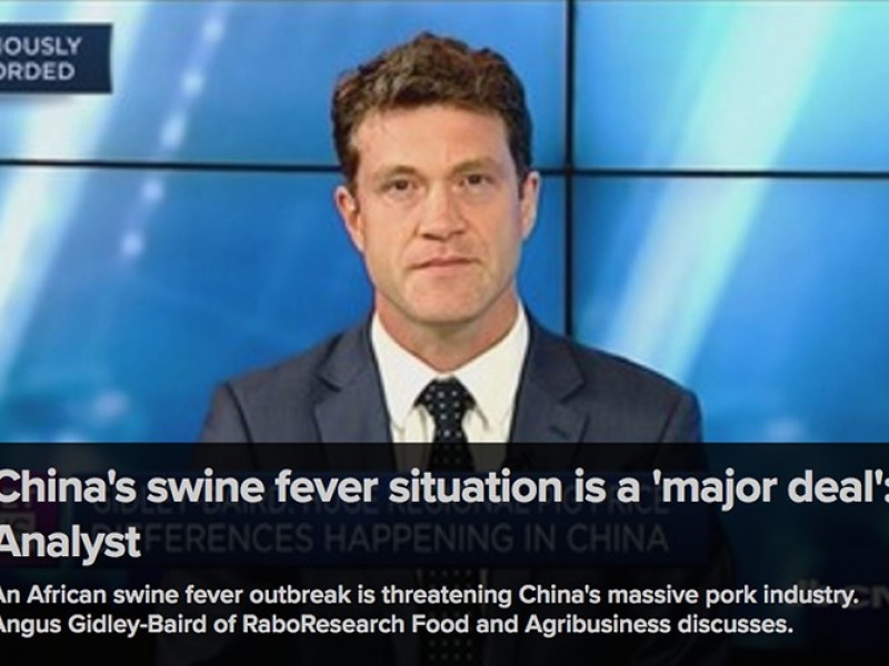 China's swine fever situation is a 'major deal': Analyst