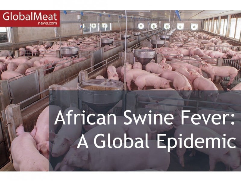 AFRICAN SWINE FEVER: A GLOBAL EPIDEMIC - A GlobalMeatNews editorial webinar